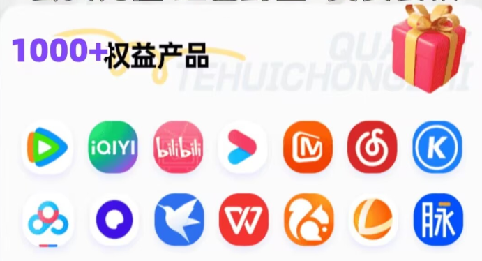 视频会员代理系统前端展示